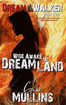 Wide Awake In Dream Land 1