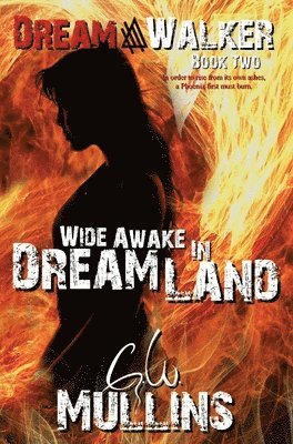 Wide Awake In Dream Land 1