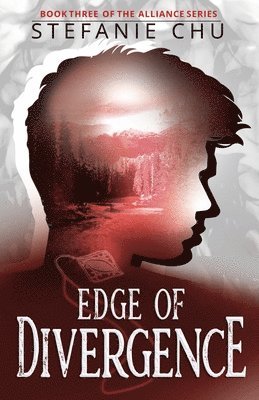 Edge of Divergence 1