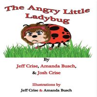 bokomslag The Angry Little Ladybug