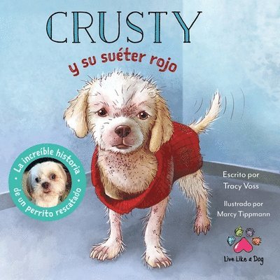 Crusty y su suter rojo - La increble historia de un perrito rescatado de las calles 1