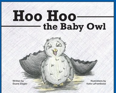 bokomslag Hoo Hoo the Baby Owl