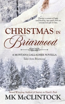bokomslag Christmas in Briarwood