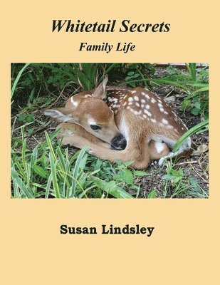 bokomslag Whitetail Secrets: Family Life