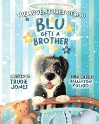 bokomslag The adventures of Blu, Blu gets a brother