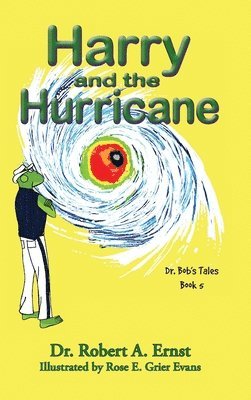 bokomslag Harry and the Hurricane