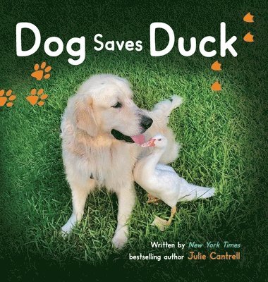 Julie Cantrell, Julie, Cantrell - Dog Saves Duck, Inbunden