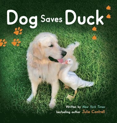 Dog Saves Duck 1