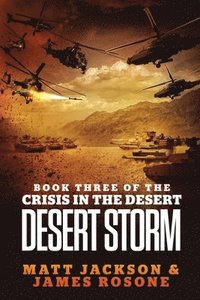 bokomslag Desert Storm