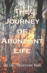 bokomslag The Journey of Abundant Life