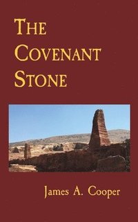 bokomslag The Covenant Stone