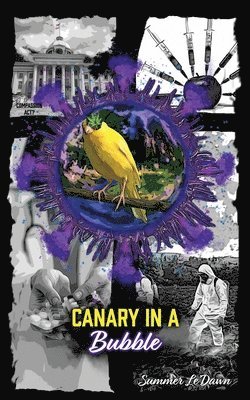 Canary in a Bubble 1