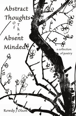 Abstract Thoughts of the Absent Minded 1