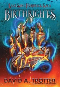 bokomslag Birthrights