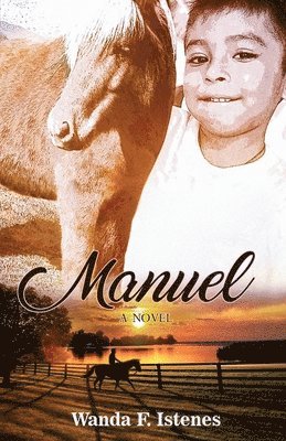 bokomslag Manuel