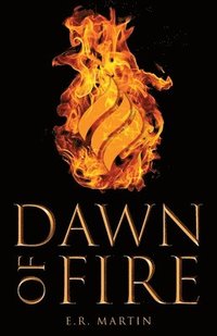 bokomslag Dawn of Fire
