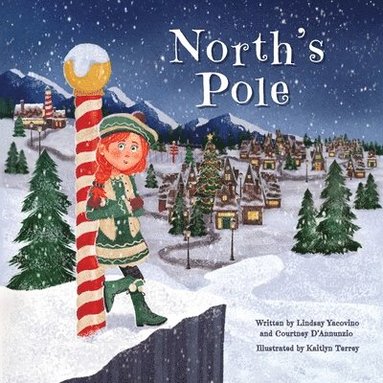 bokomslag North's Pole