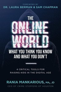 bokomslag The Online World, What You Think You Know and What You Don't