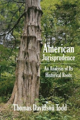 bokomslag American Jurisprudence