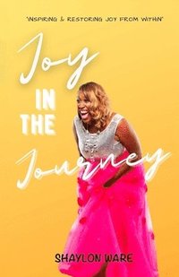 bokomslag Joy in the Journey