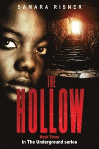 bokomslag The Hollow