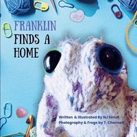 bokomslag Franklin Finds a Home