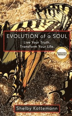 Evolution of a Soul 1