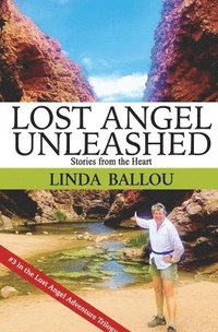 bokomslag Lost Angel Unleashed