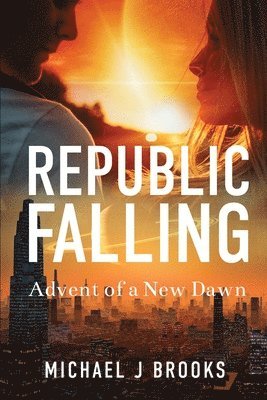 bokomslag Republic Falling