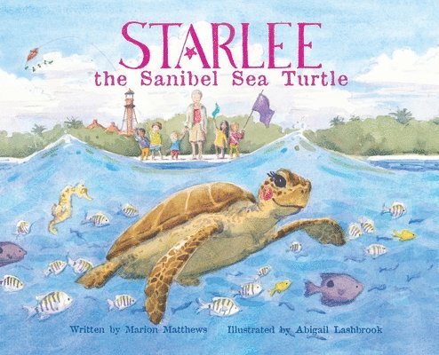 Starlee the Sanibel Sea Turtle 1