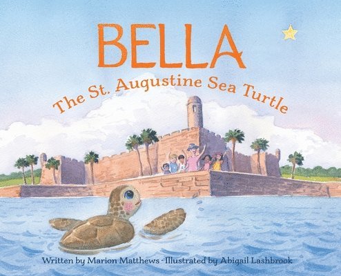 Bella the St. Augustine Sea Turtle 1