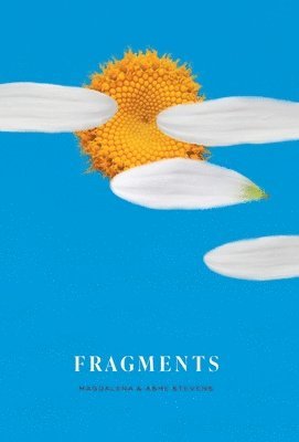 bokomslag Fragments
