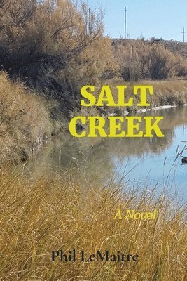 Salt Creek 1