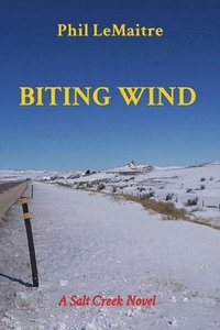 bokomslag Biting Wind