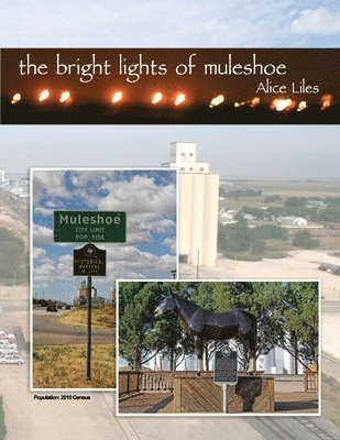bokomslag Bright Lights of Muleshoe