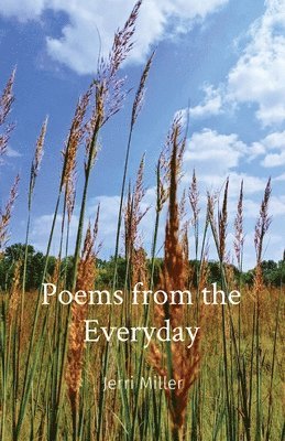 bokomslag Poems from the Everyday