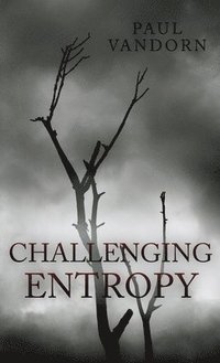 bokomslag Challenging Entropy