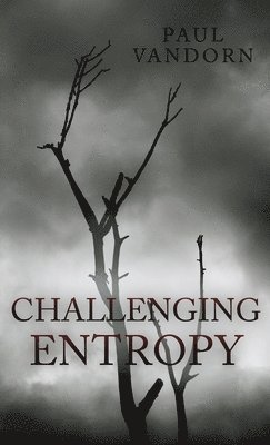 Paul VanDorn - Challenging Entropy, Häftad