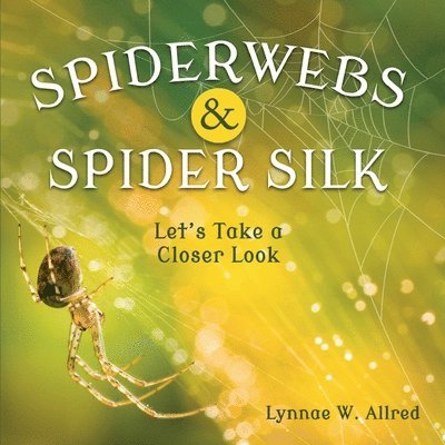 Spiderwebs and Spider Silk 1