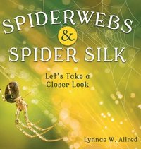 bokomslag Spiderwebs and Spider Silk