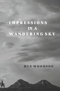 bokomslag Impressions in a Wandering Sky