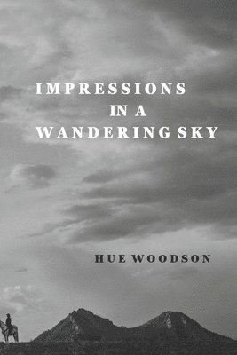 Impressions in a Wandering Sky 1