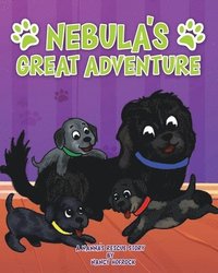 bokomslag Nebula's Great Adventure