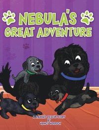 bokomslag Nebula's Great Adventure