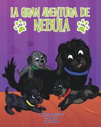 bokomslag Gran Aventura de Nebula
