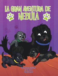 bokomslag Gran Aventura de Nebula