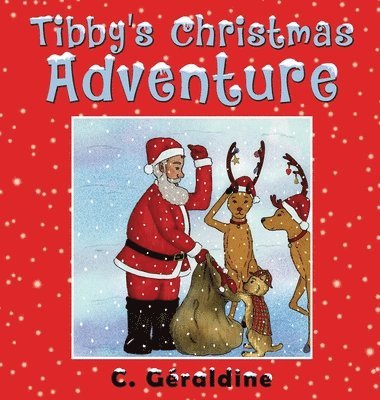 bokomslag Tibby's Christmas Adventure