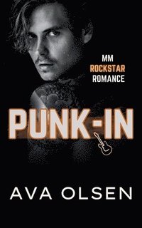 bokomslag Punk-In