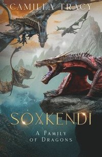 bokomslag Soxkendi