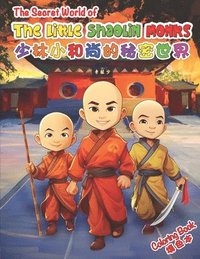 bokomslag The Secret World of The Little Shaolin Monks